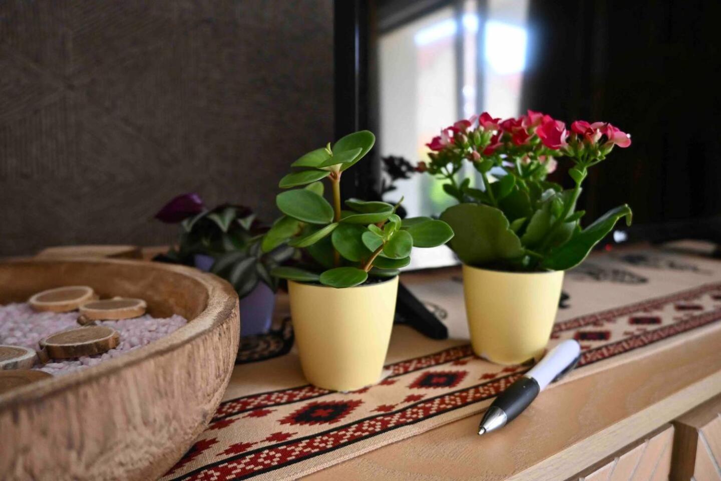 Cosy Apartment Near Strasbourg Mommenheim Zewnętrze zdjęcie